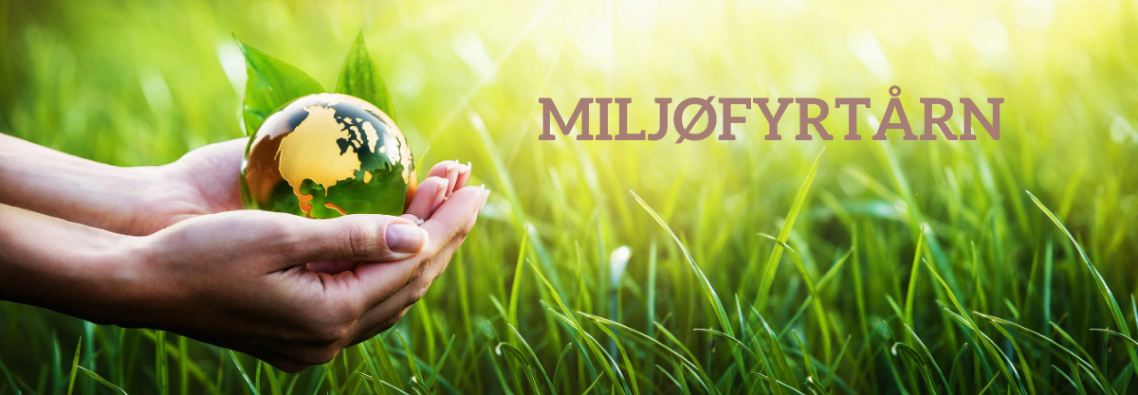 Miljøfyrtårn